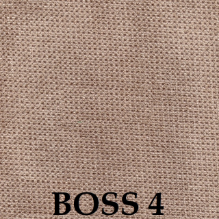 Boss 04